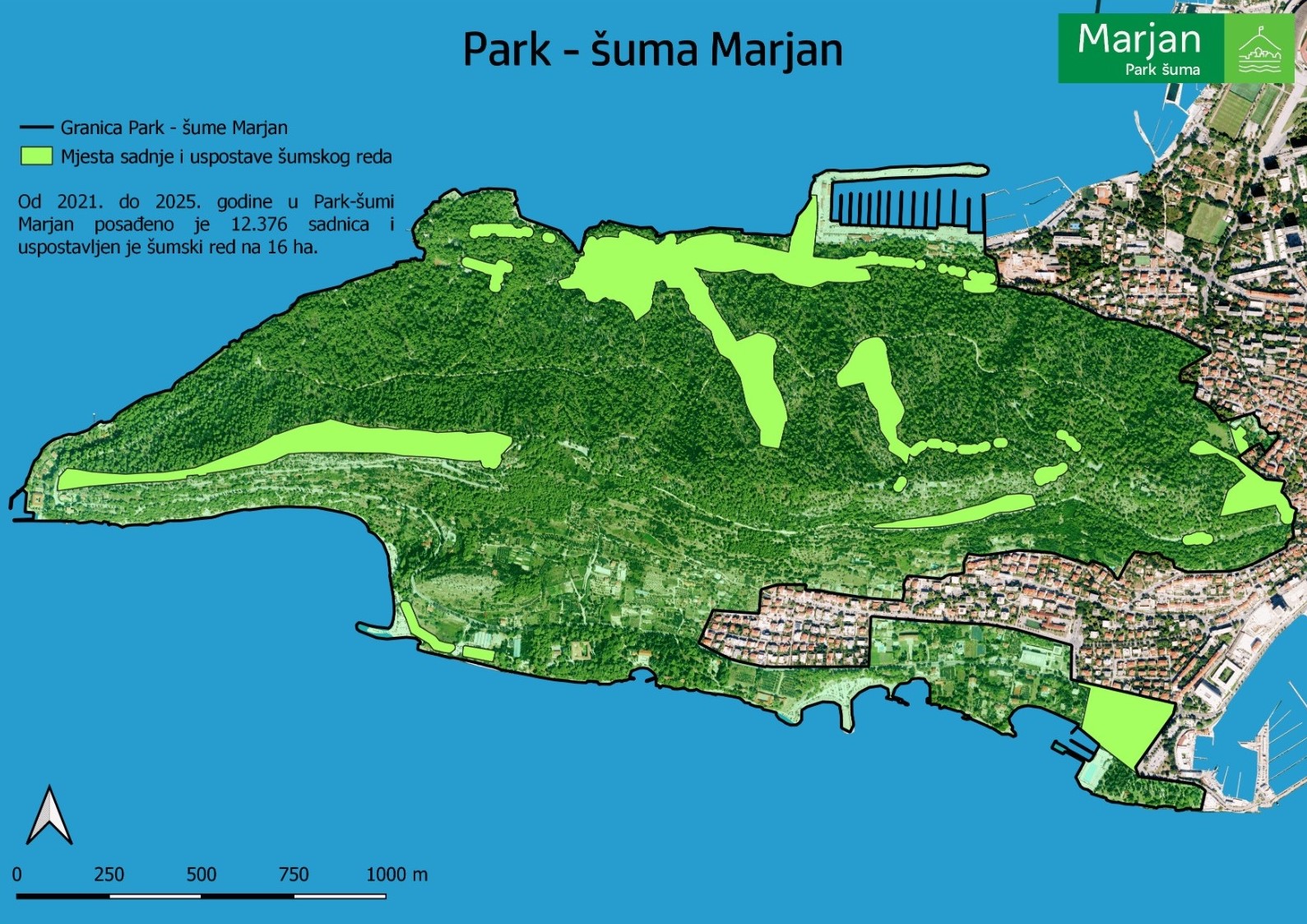 1. Nakon više od 60 godina pokrenuto pošumljavanje Park-šume Marjan