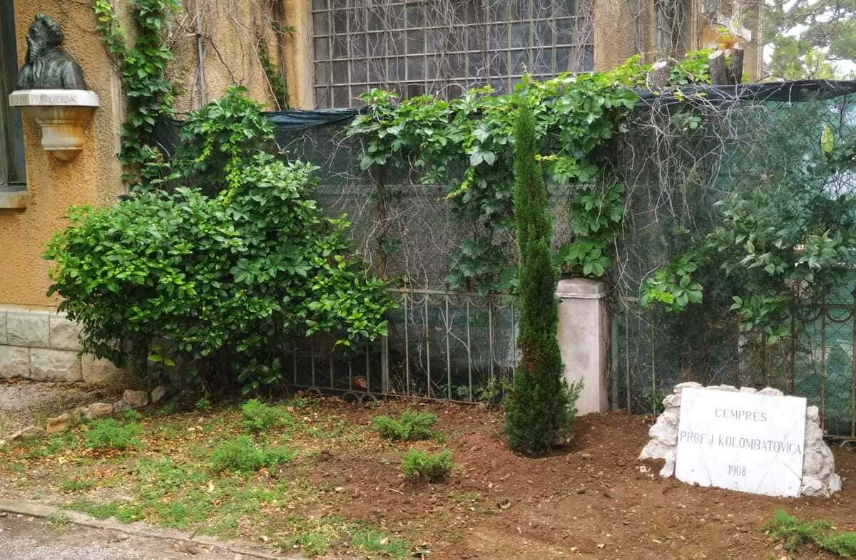 58. Postavljena stara spomen ploča i posađen novi čempres pored starog, suhog čempresa posađenog u spomen na prvog predsjednika Društva Marjan prof. Kolombatovića